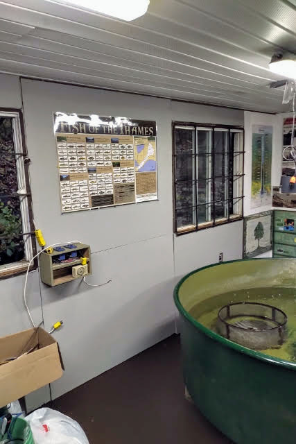 Hatchery Interior 3